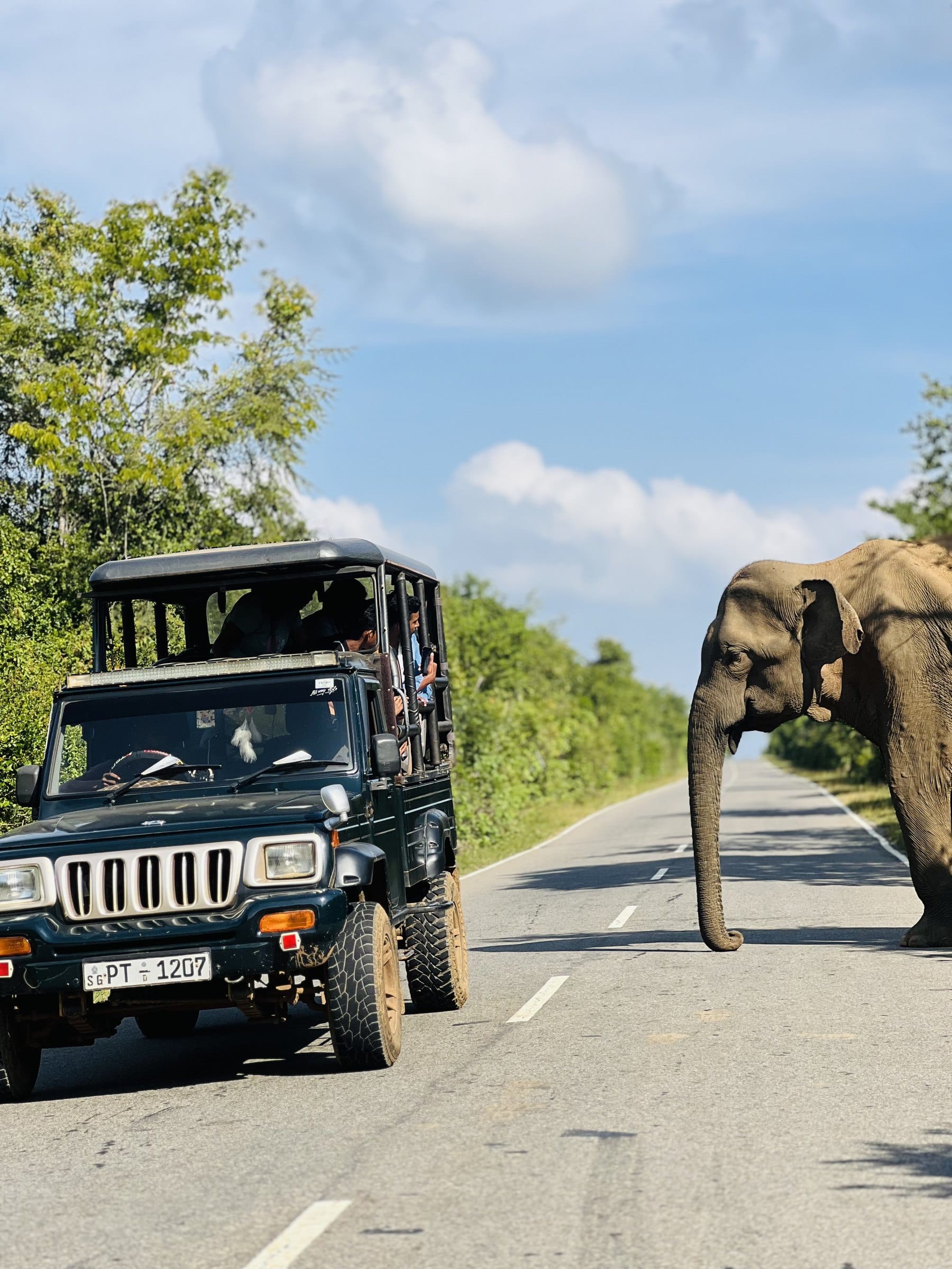 Safari jeep convoy in Yala National Park